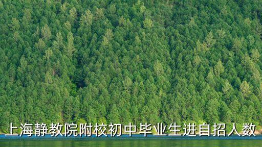 上海靜教院附校初中畢業(yè)生進自招人數(shù)
