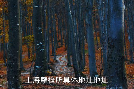 上海摩檢所具體地址地址