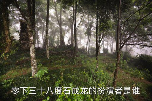 零下三十八度石成龍的扮演者是誰