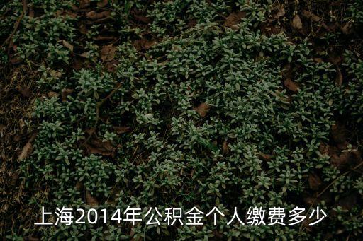 上海市公積金基數(shù)2014，上海2014年公積金個人繳費多少
