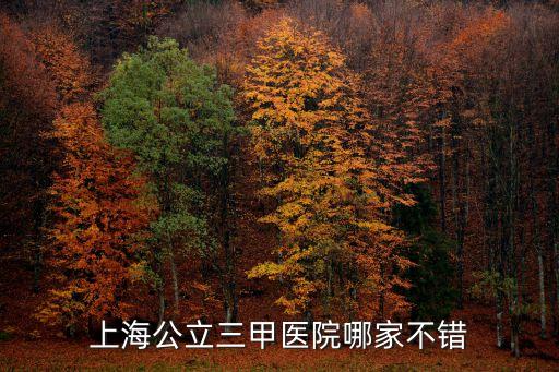 上海市三甲醫院圖片，上海公立三甲醫院哪家不錯