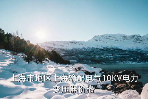 上海市電力交易，上海地區怎么網上支付電費呢