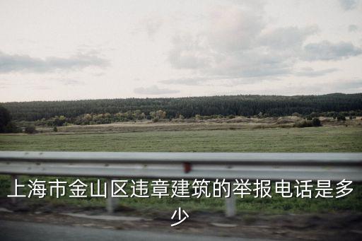 上海市金山區建筑管理所，請問有誰知道 上海市金山區老衛清路329號是做什么的嗎 急急急