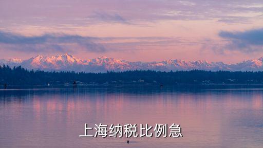 上海納稅比例急