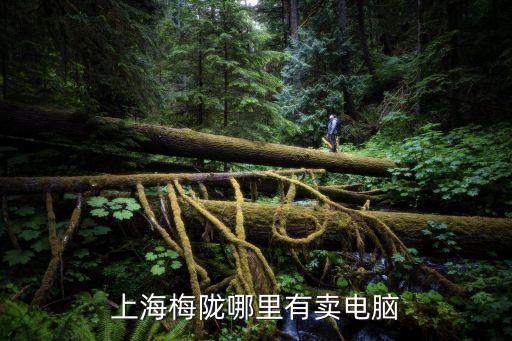 上海市梅隴眾欣經(jīng)濟(jì)城，上海梅隴哪里有賣電腦