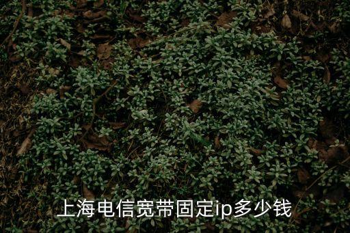 上海電信寬帶固定ip多少錢