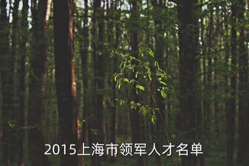 2015上海市領軍人才名單