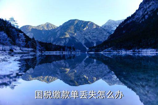 上海市國稅稅收繳款單，上海市稅務局扣稅業務回單網上打印在哪里打印