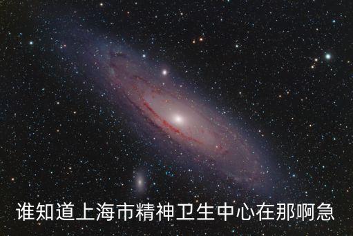誰知道上海市精神衛生中心在那啊急