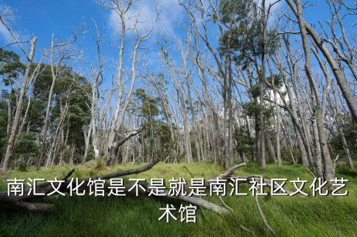上海市南匯區x館，上海南匯這塊比較好點的KTV或會所的具體地址有MM的那種 皇宮