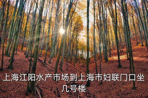 上海江陽水產市場到上海市婦聯門口坐幾號樓