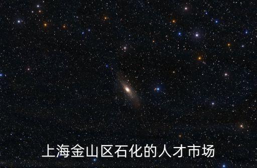 上海金山區(qū)石化的人才市場