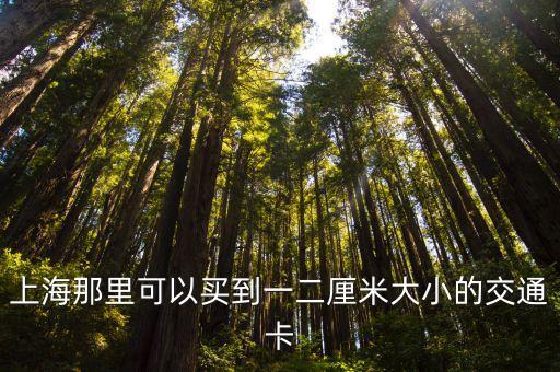 上海那里可以買到一二厘米大小的交通卡