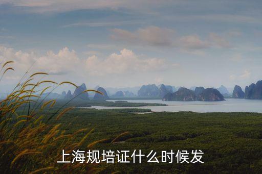 上海規(guī)培證什么時候發(fā)