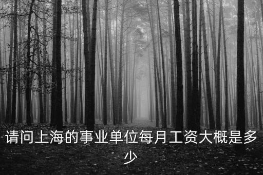 上海市公用事業學校工資，請問上海的事業單位每月工資大概是多少