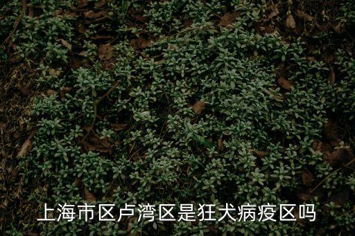 上海市狂犬病疫區嗎，上海那些地方可以打狂犬疫苗提供一下