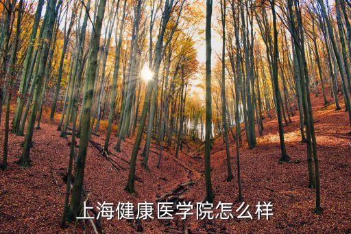 上海市 營口陸 上海健康學院，上海健康醫學院怎么樣