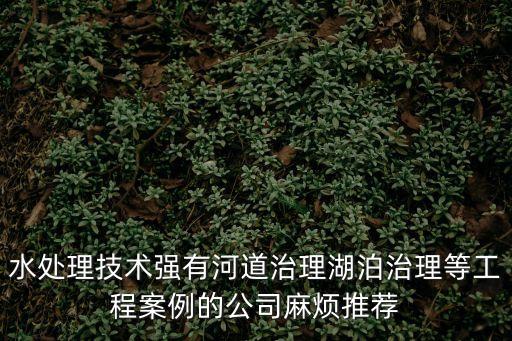 水處理技術(shù)強(qiáng)有河道治理湖泊治理等工程案例的公司麻煩推薦