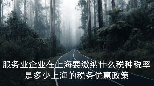 上海市服務業引導資金分配，服務業企業在上海要繳納什么稅種稅率是多少上海的稅務優惠政策