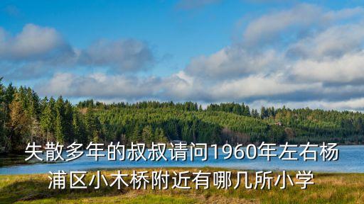 失散多年的叔叔請問1960年左右楊浦區小木橋附近有哪幾所小學