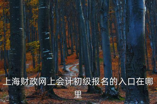 上海市會(huì)計(jì)初級報(bào)名入口，上海財(cái)政網(wǎng)上會(huì)計(jì)初級報(bào)名的入口在哪里