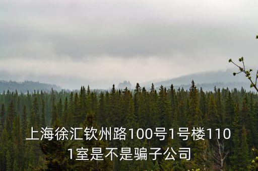上海徐匯欽州路100號1號樓1101室是不是騙子公司