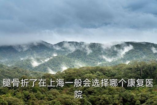 腿骨折了在上海一般會選擇哪個康復醫(yī)院