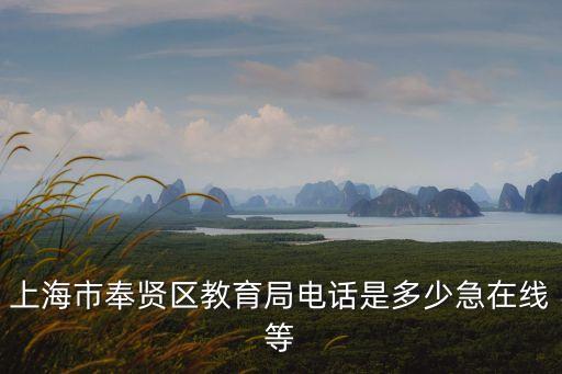 上海市奉賢區江山小學電話，上海奉賢平安有哪個是私立小學