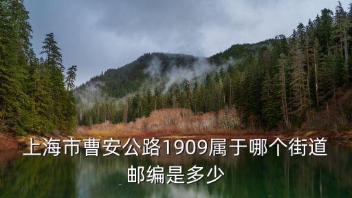 上海市嘉定區(qū)真新街道轄區(qū)，上海市曹安公路1909屬于哪個街道郵編是多少