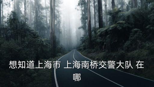 想知道上海市 上海南橋交警大隊 在哪
