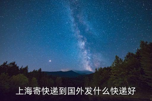 上海寄快遞到國(guó)外發(fā)什么快遞好