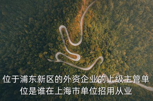 上海市金橋管理委員會官網，上海金橋在那
