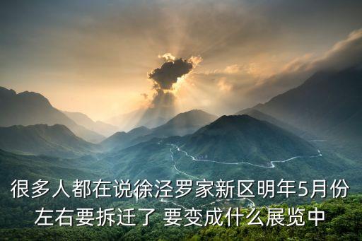 很多人都在說徐涇羅家新區(qū)明年5月份左右要拆遷了 要變成什么展覽中