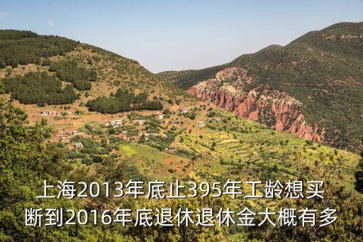 上海2013年底止395年工齡想買斷到2016年底退休退休金大概有多