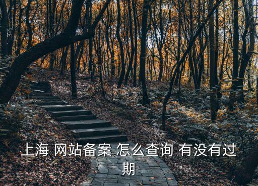 上海市健康促進委員會官網，上海 網站備案 怎么查詢 有沒有過期
