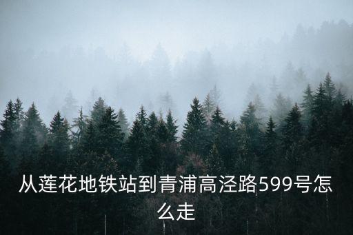 上海市高涇路，從蓮花地鐵站到青浦高涇路599號怎么走