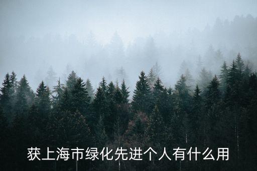 上海市個人榮譽證書，上海市優秀本科畢業生證書樣張