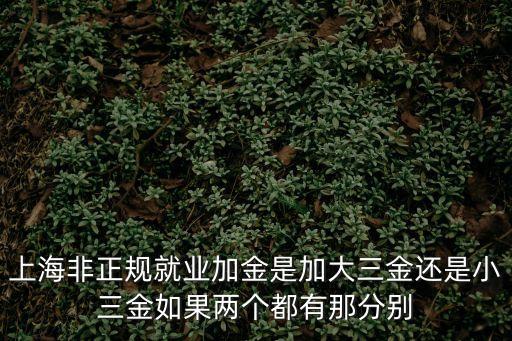 上海非正規就業加金是加大三金還是小三金如果兩個都有那分別