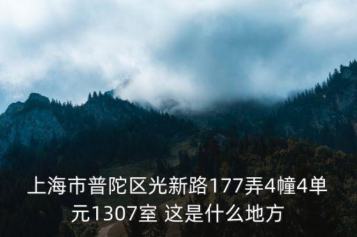 上海市普陀區橙子公寓，上海市普陀區光新路177弄4幢4單元1307室 這是什么地方