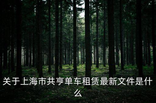 關于上海市共亨單車租賃最新文件是什么