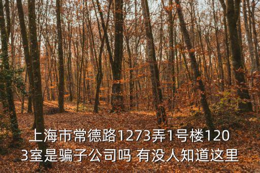 上海市常德路1273弄1號樓1203室是騙子公司嗎 有沒人知道這里