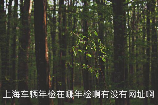 上海市貨運(yùn)車輛審驗(yàn)信息網(wǎng)，上海車輛年檢在哪年檢啊有沒有網(wǎng)址啊
