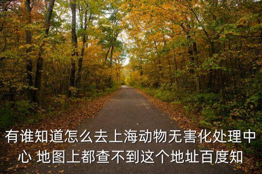 上海市各區動物處置地點，有誰知道上海地區狗狗火葬的地方