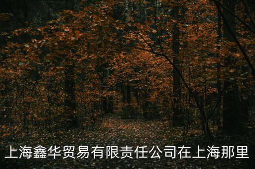 上海鑫華貿(mào)易有限責(zé)任公司在上海那里