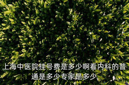 上海中醫(yī)院掛號費是多少啊看內(nèi)科的普通是多少專家是多少