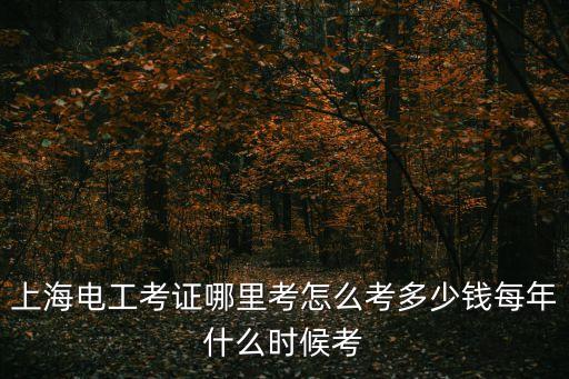 上海電工考證哪里考怎么考多少錢每年什么時候考
