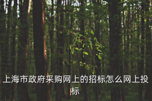 上海市政府采購網(wǎng)上的招標怎么網(wǎng)上投標