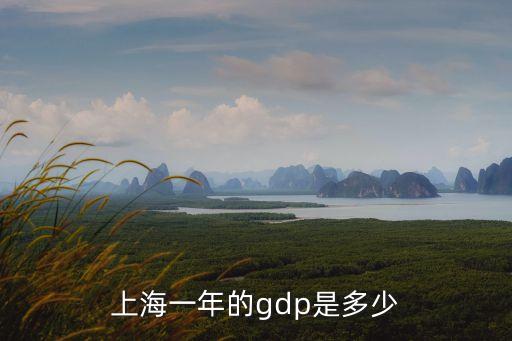 上海一年的gdp是多少