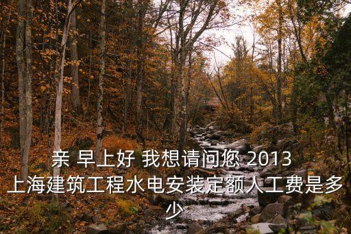 親 早上好 我想請問您 2013 上海建筑工程水電安裝定額人工費是多少