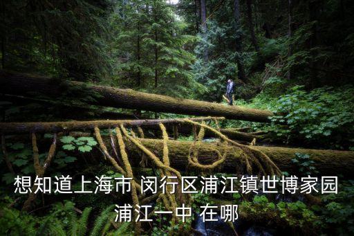 上海市閔行區浦江第一中學官網，想知道上海市 閔行區浦江鎮世博家園浦江一中 在哪